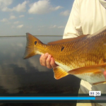 Screenshot from a fishing expedition video