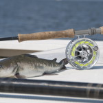 Fish and equipment after a successful catch