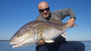 Shallow south's largest redfish caught on fly. Thirty seven pounds