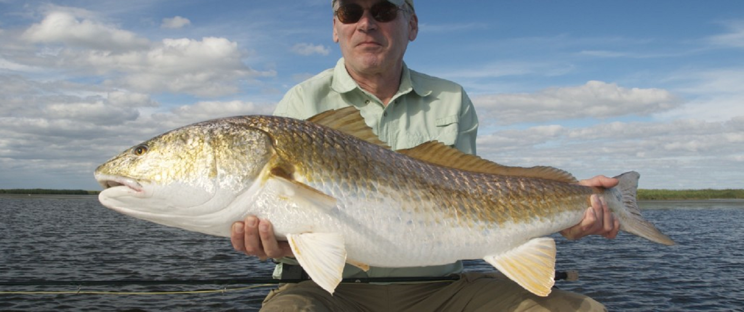 fall redfish new orleans