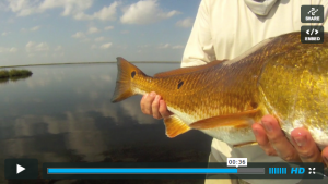 Screenshot from a fishing expedition video