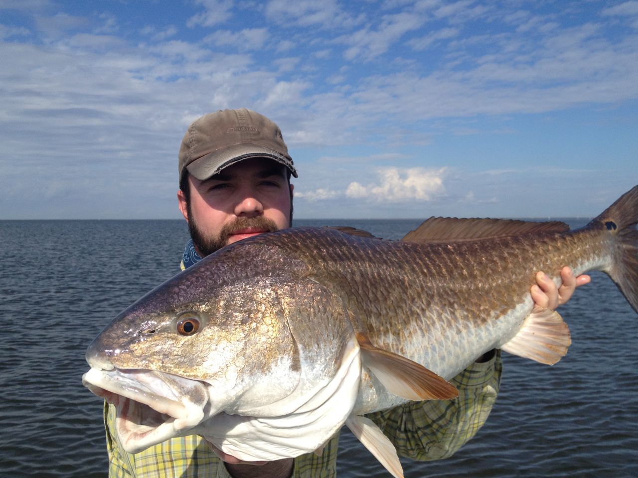 A large fish has just been caught