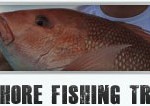 Offshore fishing trips are organized by Shallow South