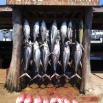 Venice Marina is the fishing capital of the world sign