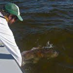 The man is all concentration during the fishing trip