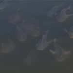 Fishes swimming in the marshy waters