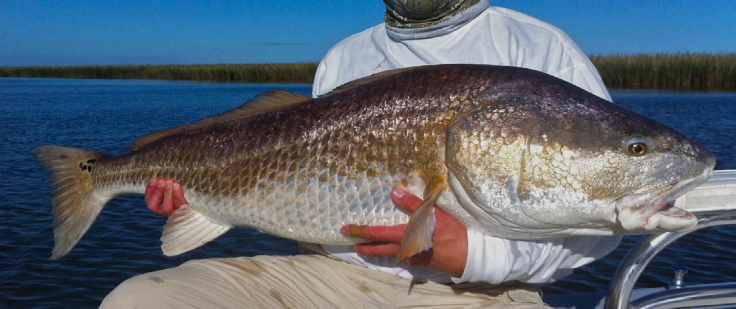 fall redfish new orleans