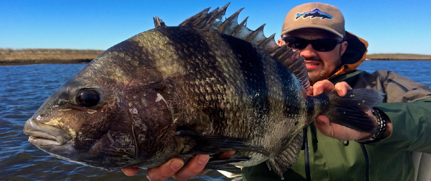 winter sheepshead fishing louisiana