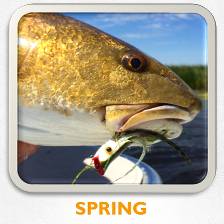 louisiana spring flyfishing