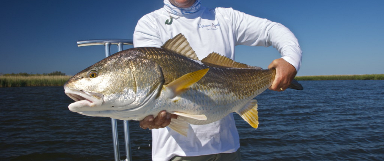 winter redfishing louisiana