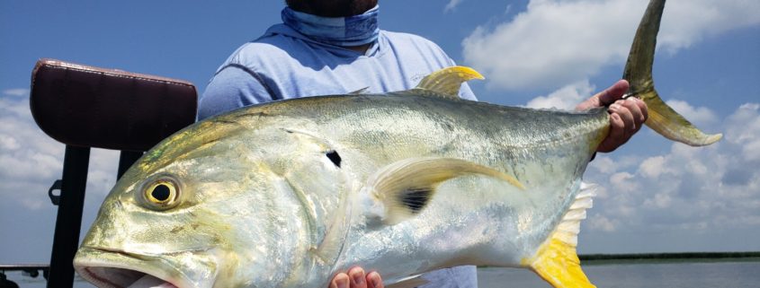 Huge flyfish captured during a summer trip