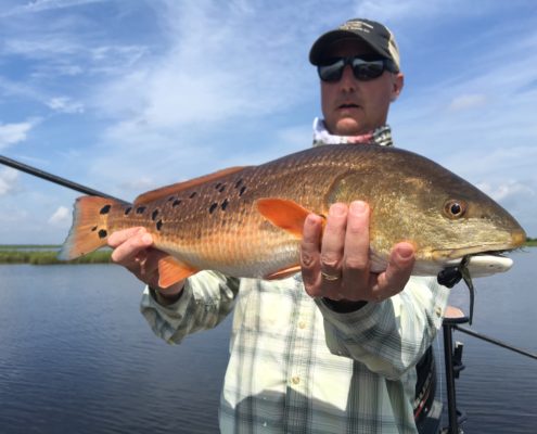 Man posing with a freshly caught redfish