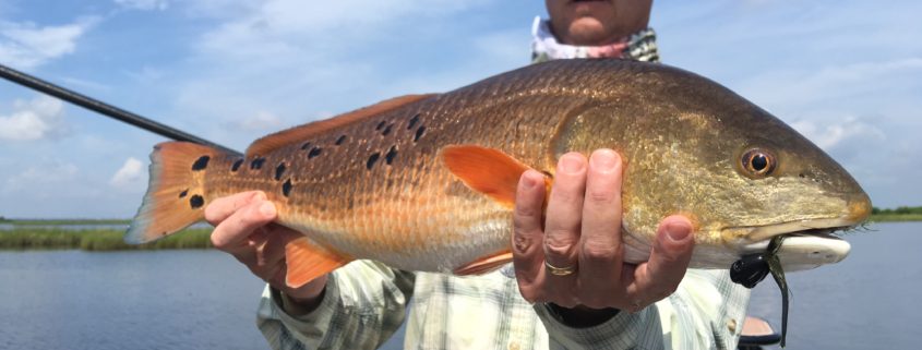 Man posing with a freshly caught redfish